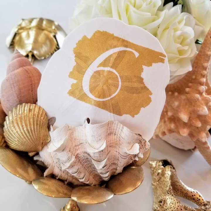 Naturligt hvidt sand dollar bordnumre, håndlavet for engroshandel hos White Tulip Boutique