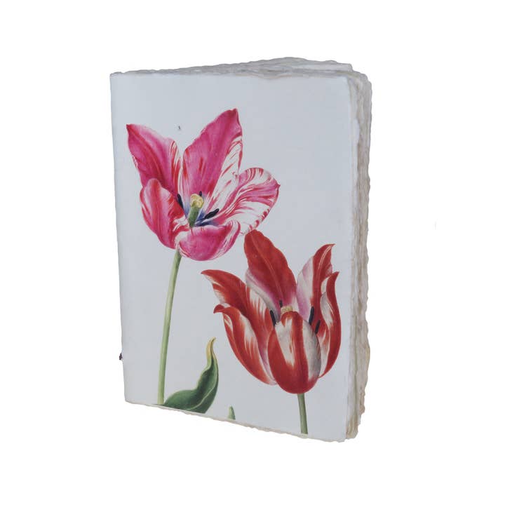 Epigram - Wholesale Journal/Diary - Flower parchment paper notebook: tulip pattern (Nassau)