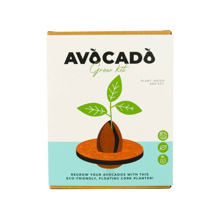 Gift Republic - Wholesale Plant Seeds - Avocado Grow Kit