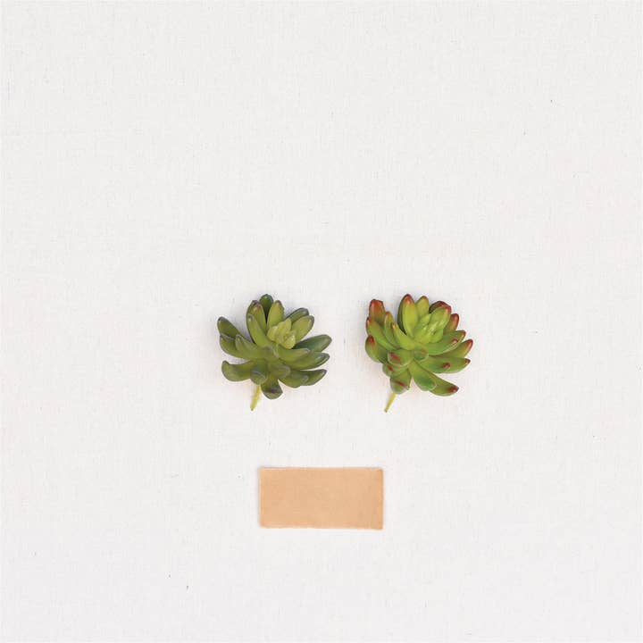 HomArt - Wholesale Succulent - Faux Succulent - Lrg - Green