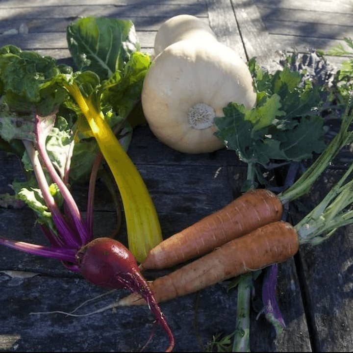 Dr. Cowan's Garden - Wholesale Protein/superfood powder - Organic Threefold Blend Powder - Slightly Sweet (Refill Pouch)4