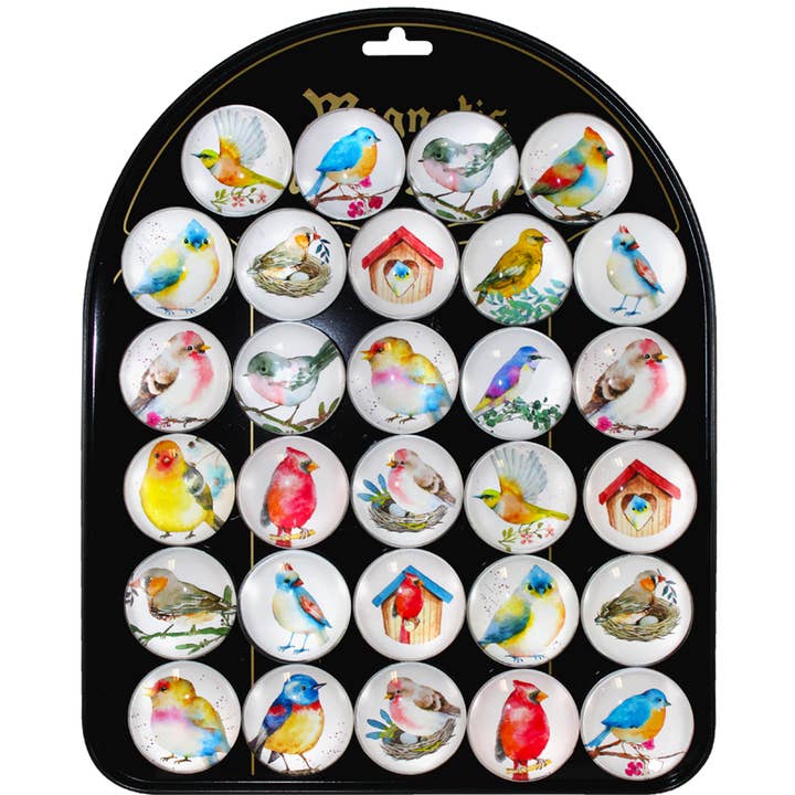 World Buyers - Wholesale Magnet - Watercolor Birds Glass Magnet & Display - CBG138W