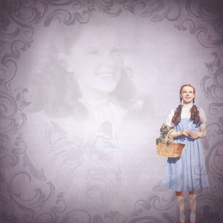 Paper House Productions - Wholesale Scrapbook - Dorothy - Wizard of Oz Double Sided Paper1