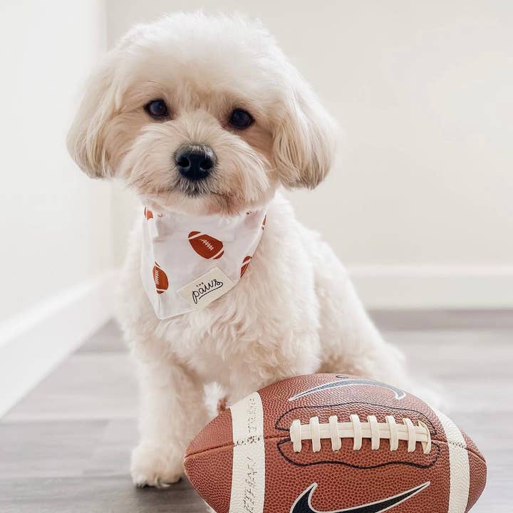 The Paws - Wholesale Pet Bandana - Dog - Quarterback Football Dog Bandana
