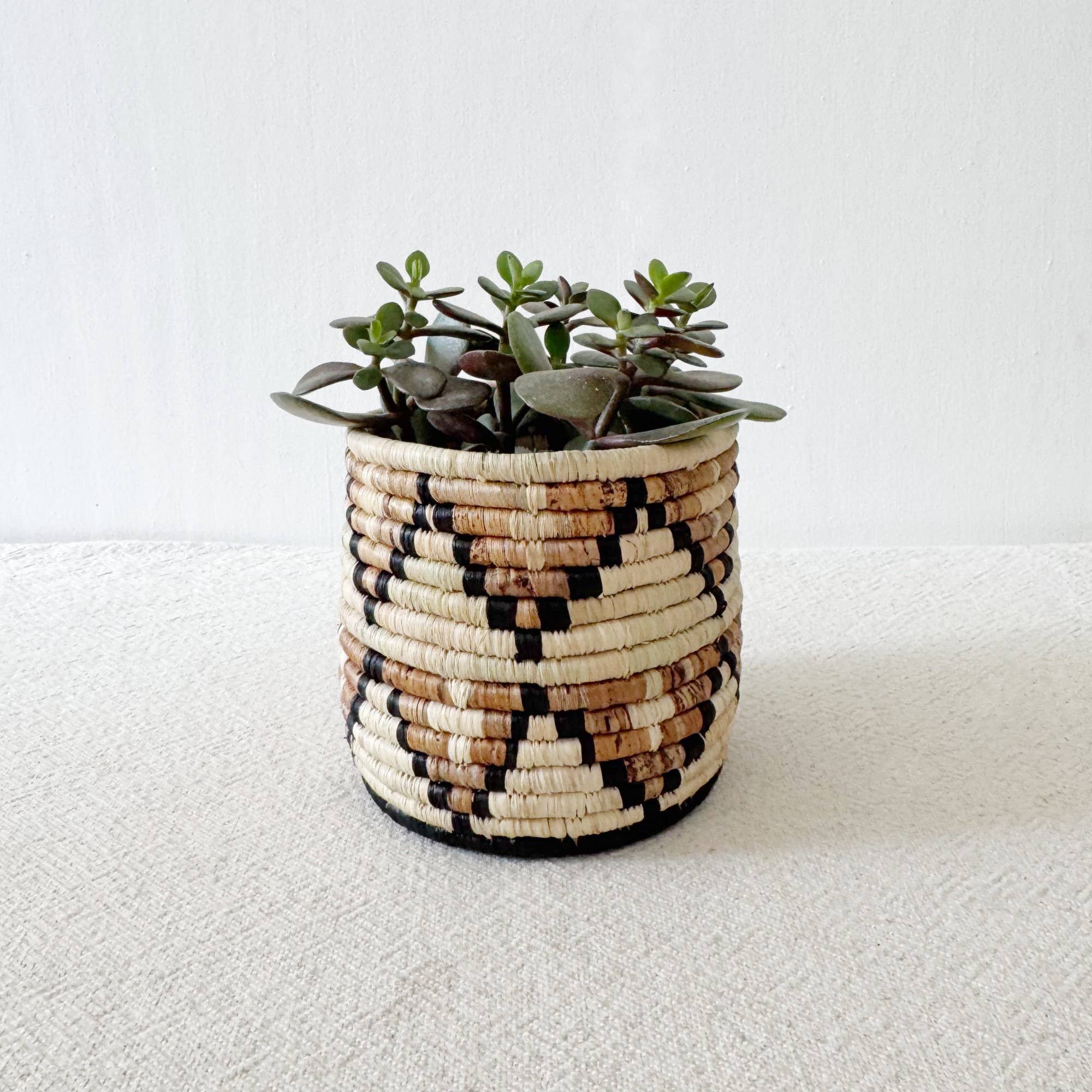 Amsha - Vendita all'ingrosso Cestini - Cesto per piante da stoccaggio: Busisi2