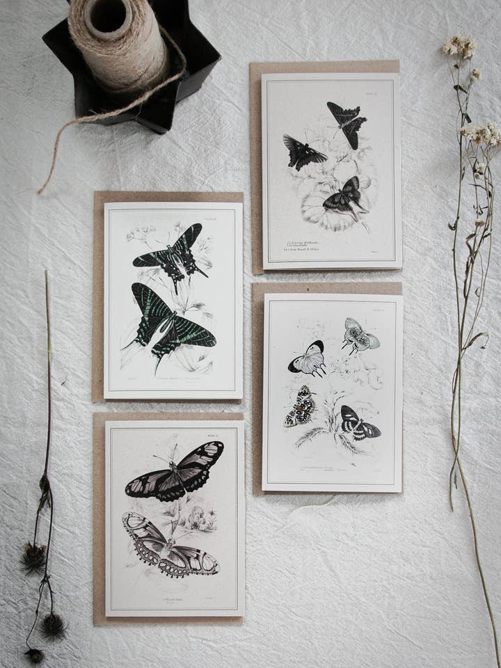 Gemischtes Set aus 4 Vintage-Schmetterlings-Grußkarten – A6 Blankokarten mit Kraftumschlägen 02 für den Großhandel von Coultura