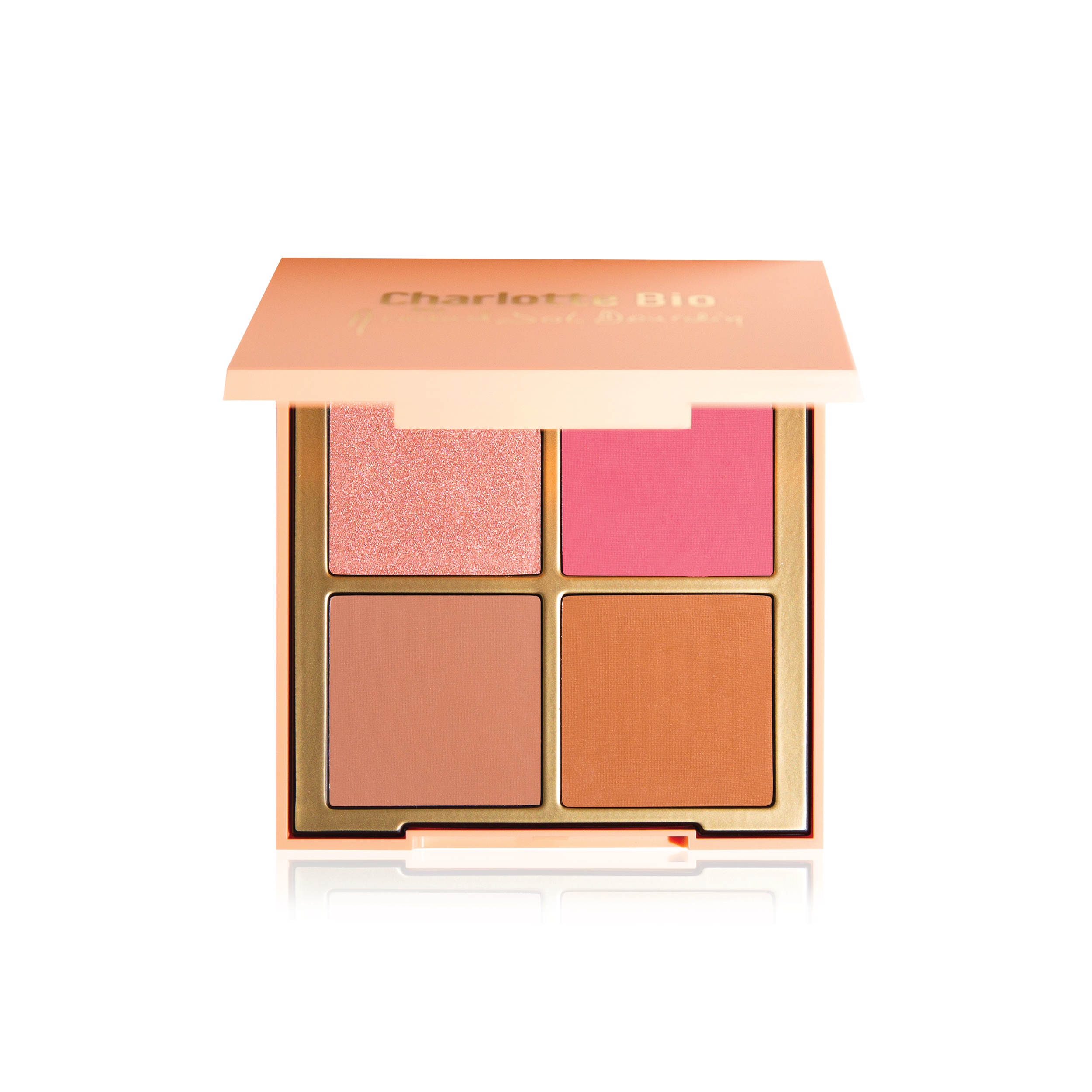 CHARLOTTE BIO - Wholesale Face Makeup Palette - Good Glow Palette X Arnaud Sol Dourdin3