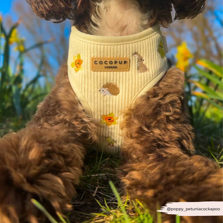 Cocopup London - Wholesale Pet Harness - Dog - Embroidered Woodland Walkies Adjustable Neck Harness14