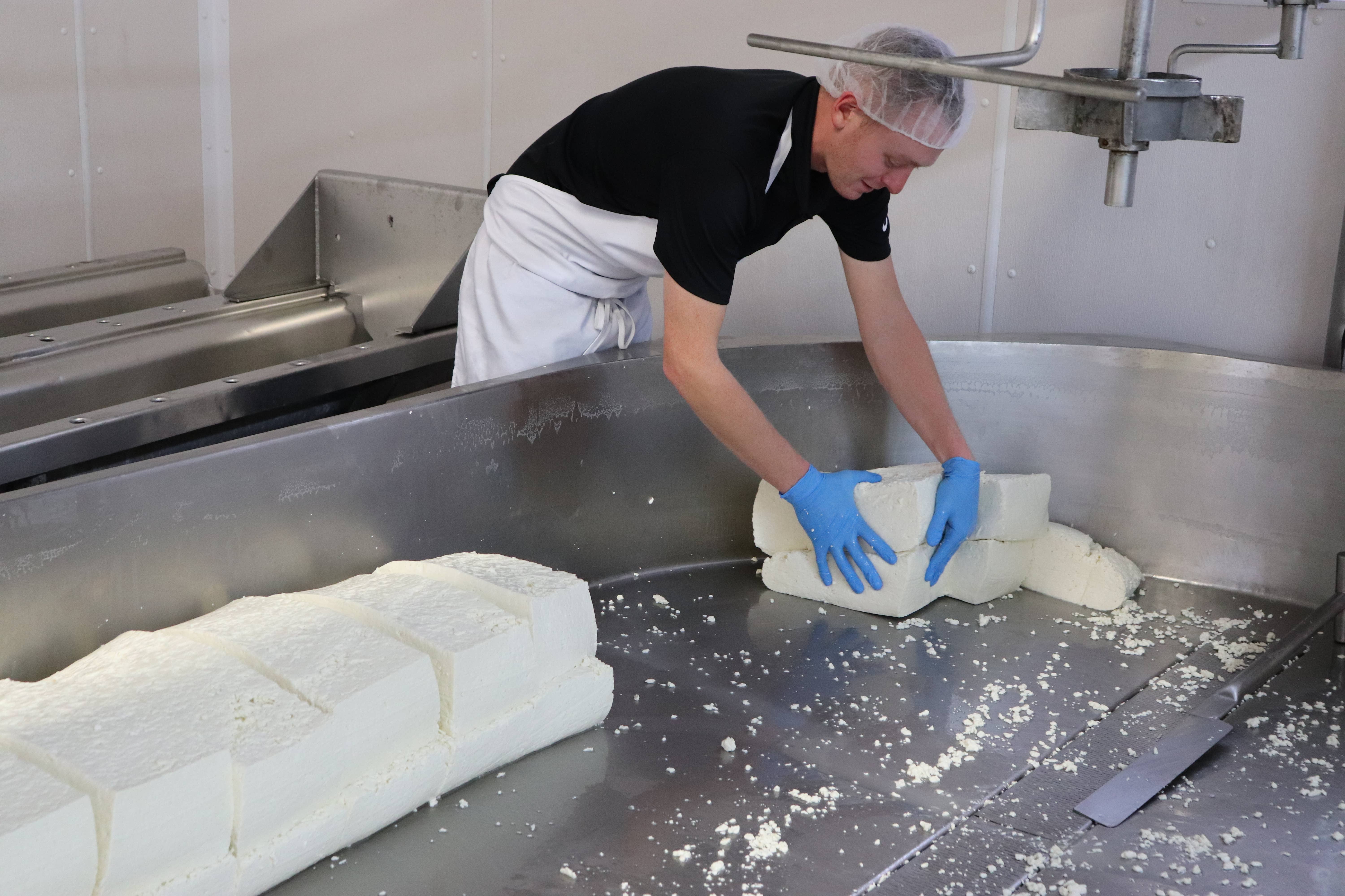 Alma Creamery LLC - Wholesale Cheese - 8oz. Dill Flavored Cheese Curds2