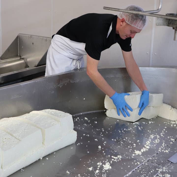 Alma Creamery LLC - Wholesale Cheese - 8oz. Dill Flavored Cheese Curds2