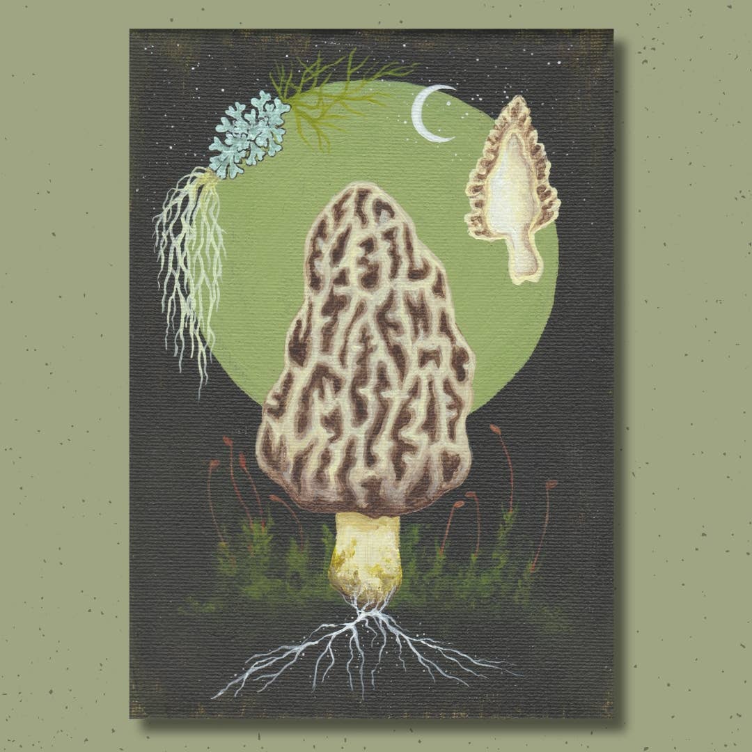 Up Moss Creek Studio - Wholesale Postcard - Morel Postcard 5