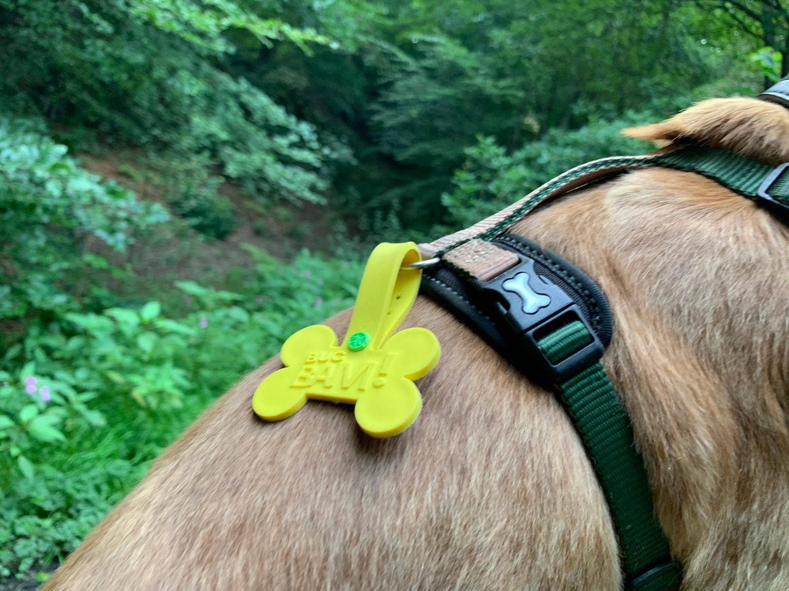 Bug Bam! - Vendita all'ingrosso Collare - Cani - Medagliette Antizanzare, Pulci e Zecche per Animali (Confezione da 2)8