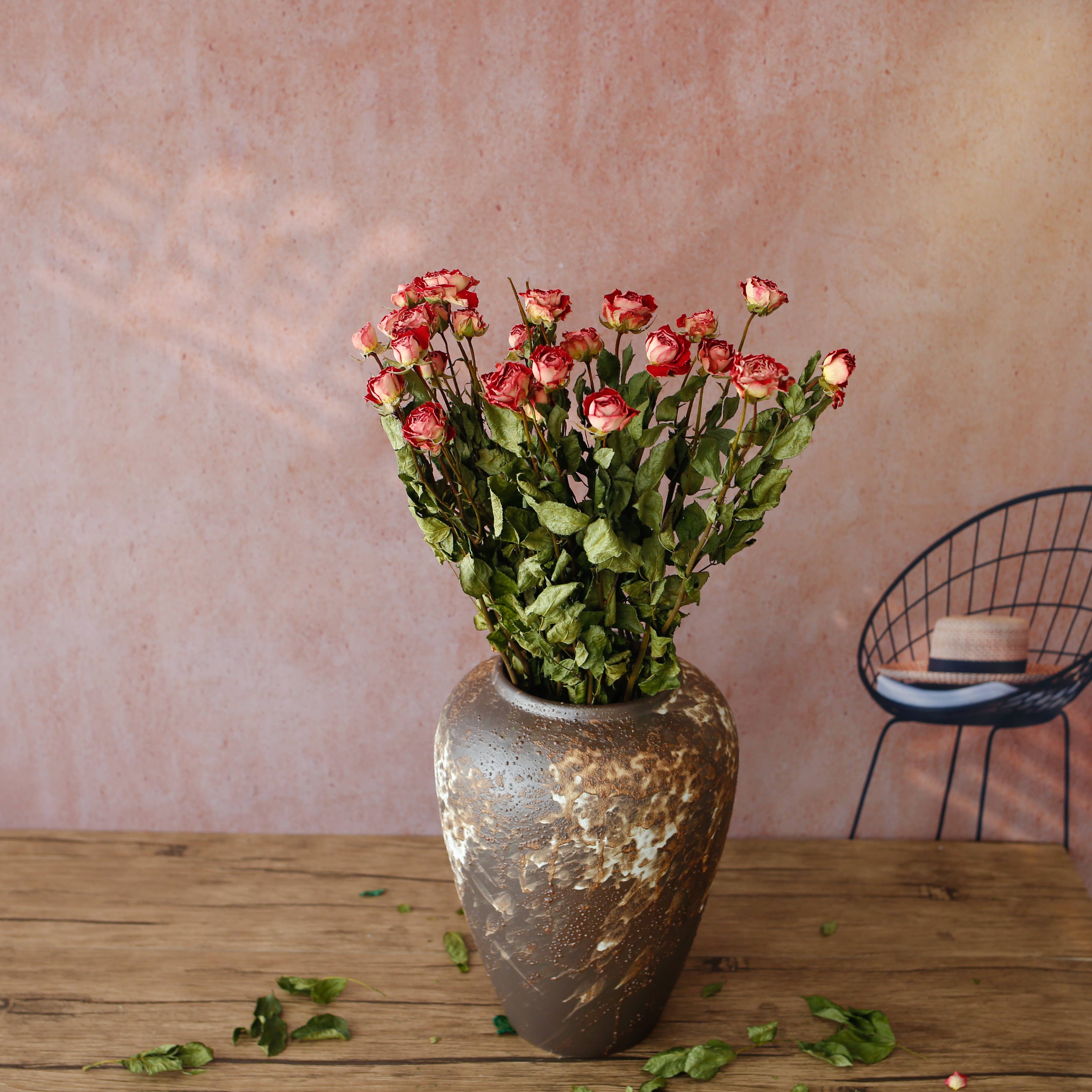 Floral Fields - Venta al por mayor Flores secas/prensadas - Rosas secas de ramo en varios colores, 10 tallos, 45 cm5