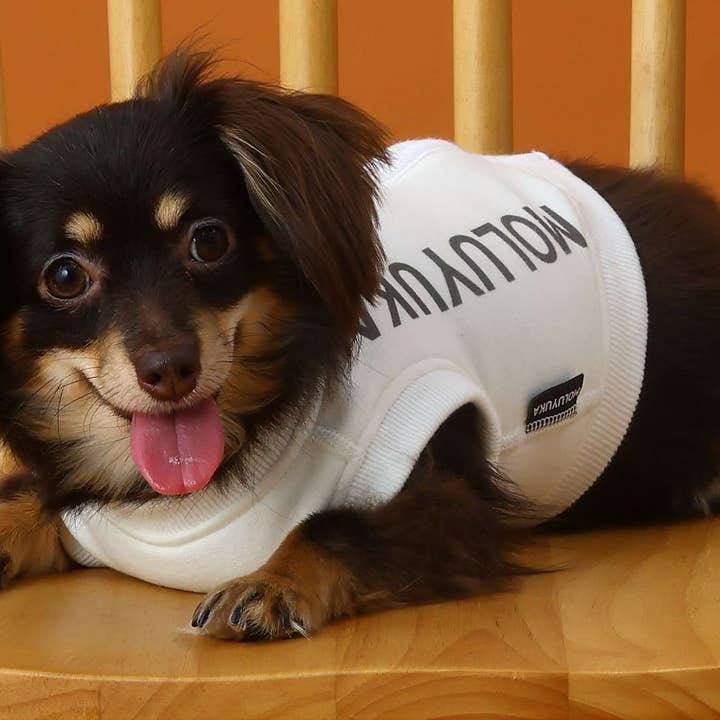 Premium huidverzorgingstanktops voor huisdieren voor wholesale door MOLUYUKA