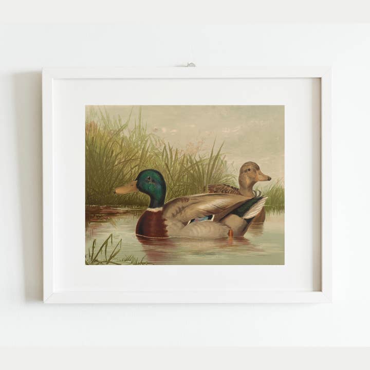 Sea to Skye - Wholesale Art Print - Ducks on the Pond Antique Art Print2
