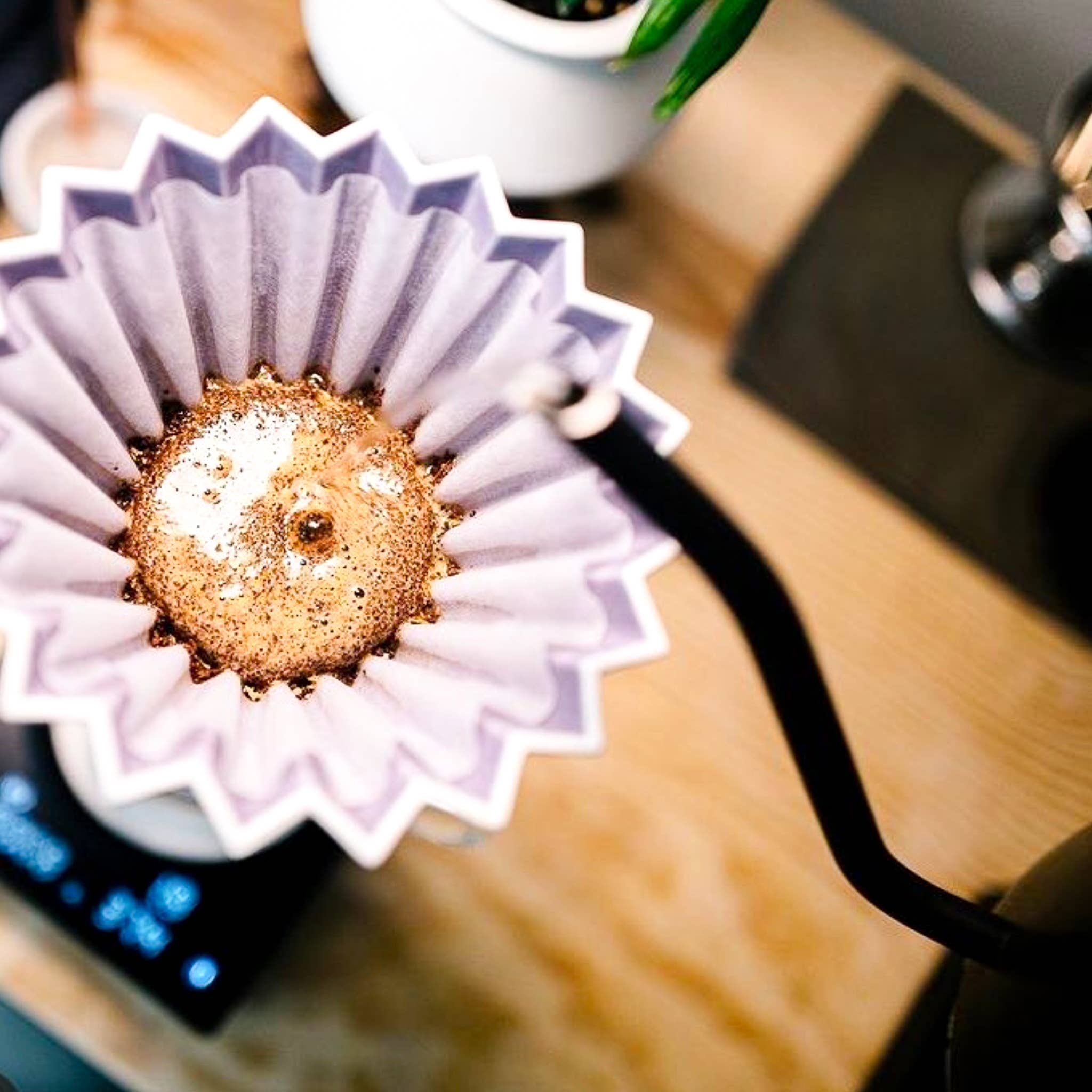 LOIS – Café de saco por atacado – Coador de café cerâmico Origami S9