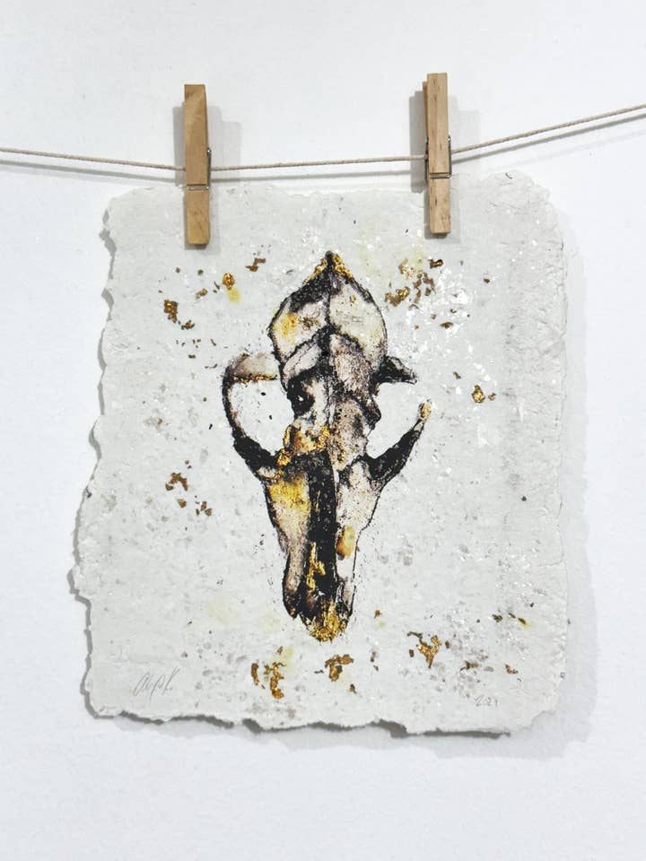 Stampa su carta fatta a mano/Coyote Skull/Nature Artwork per la vendita all'ingrosso da parte di Alexa K