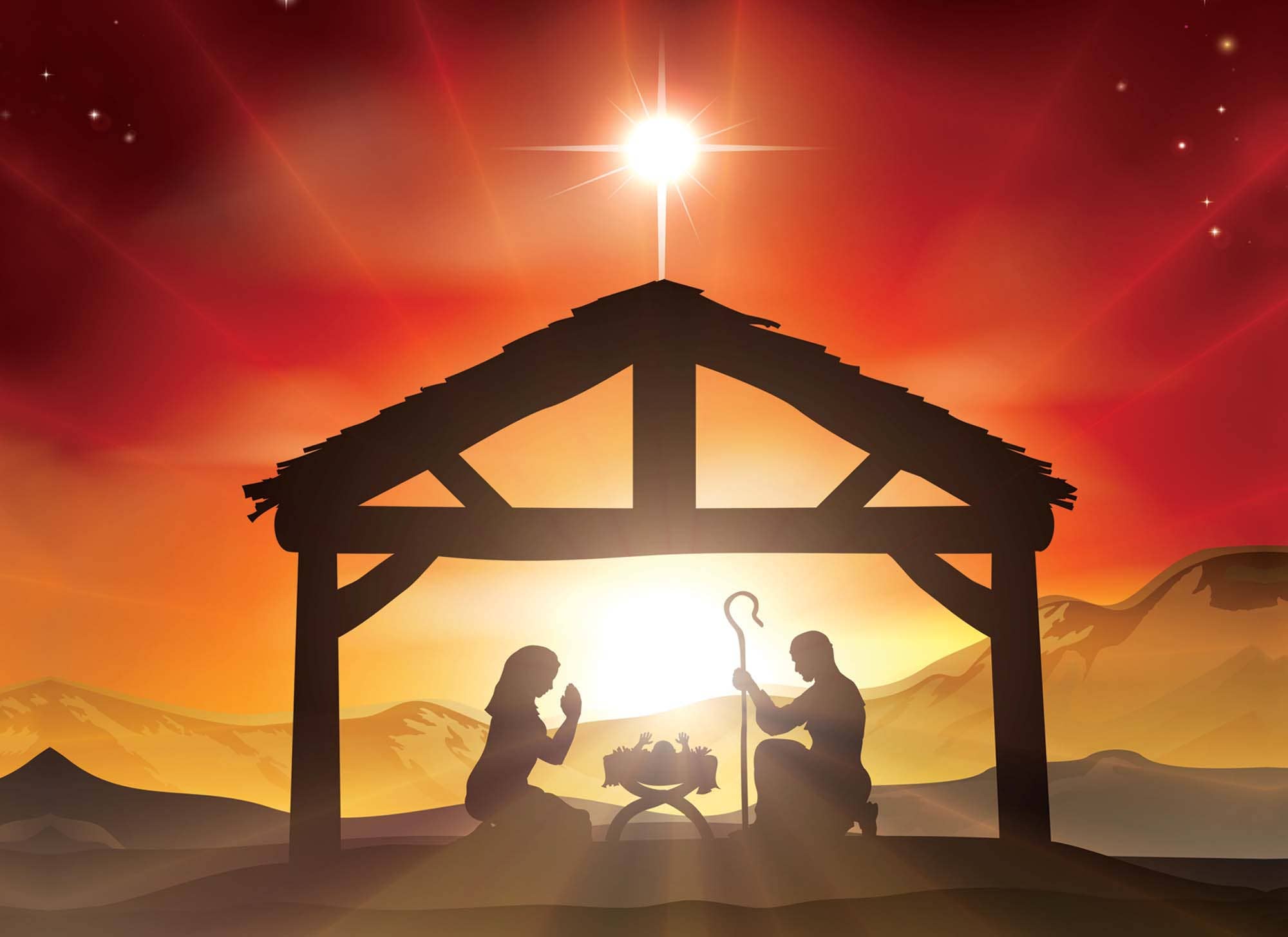 Crown Point Graphics - Wholesale Christmas Card - Religious Boxed Christmas Cards, Nativity, 12 Cards2