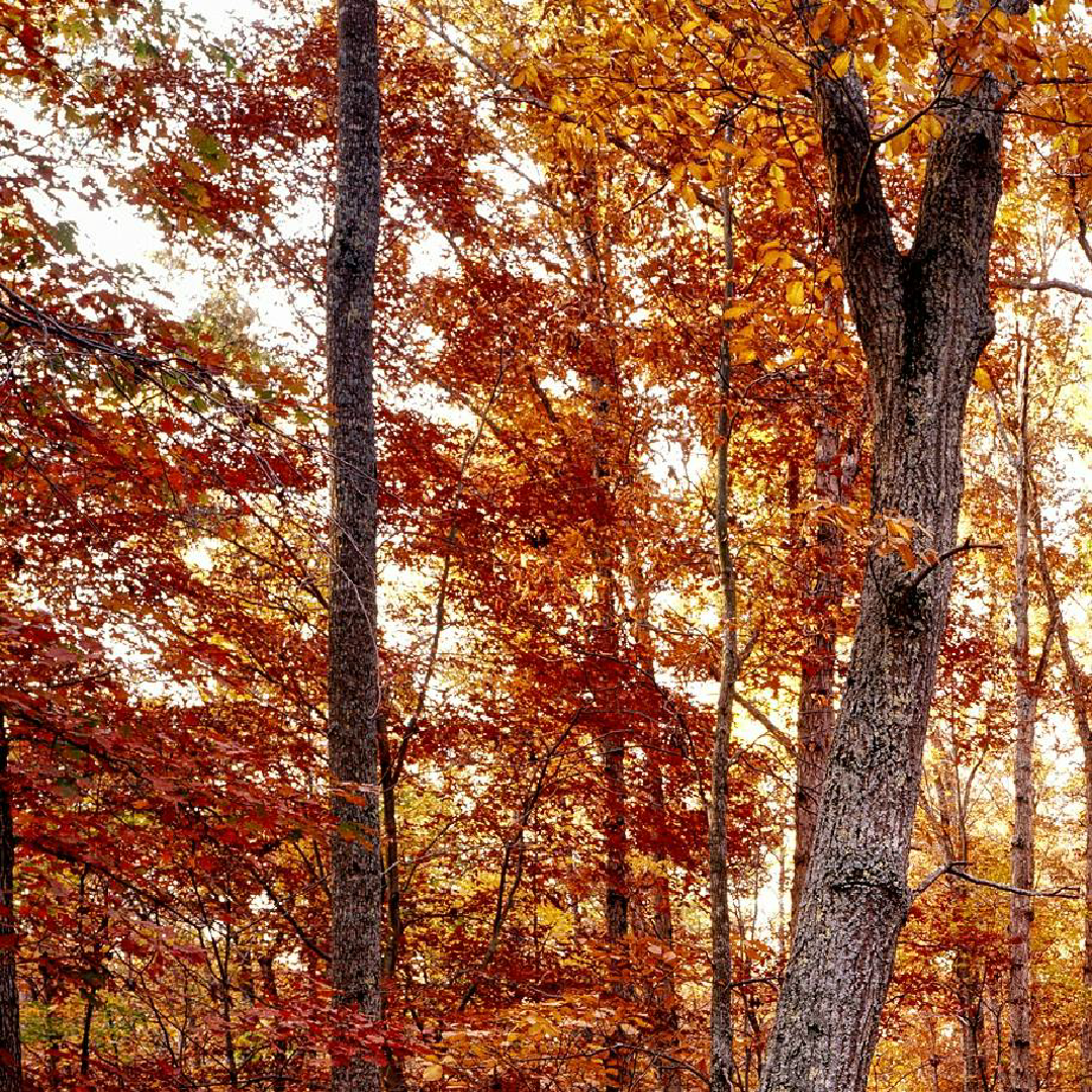 Blackmarket - Wholesale Hand soap/wash - SINGLE REFILL in Cocktail Bar5