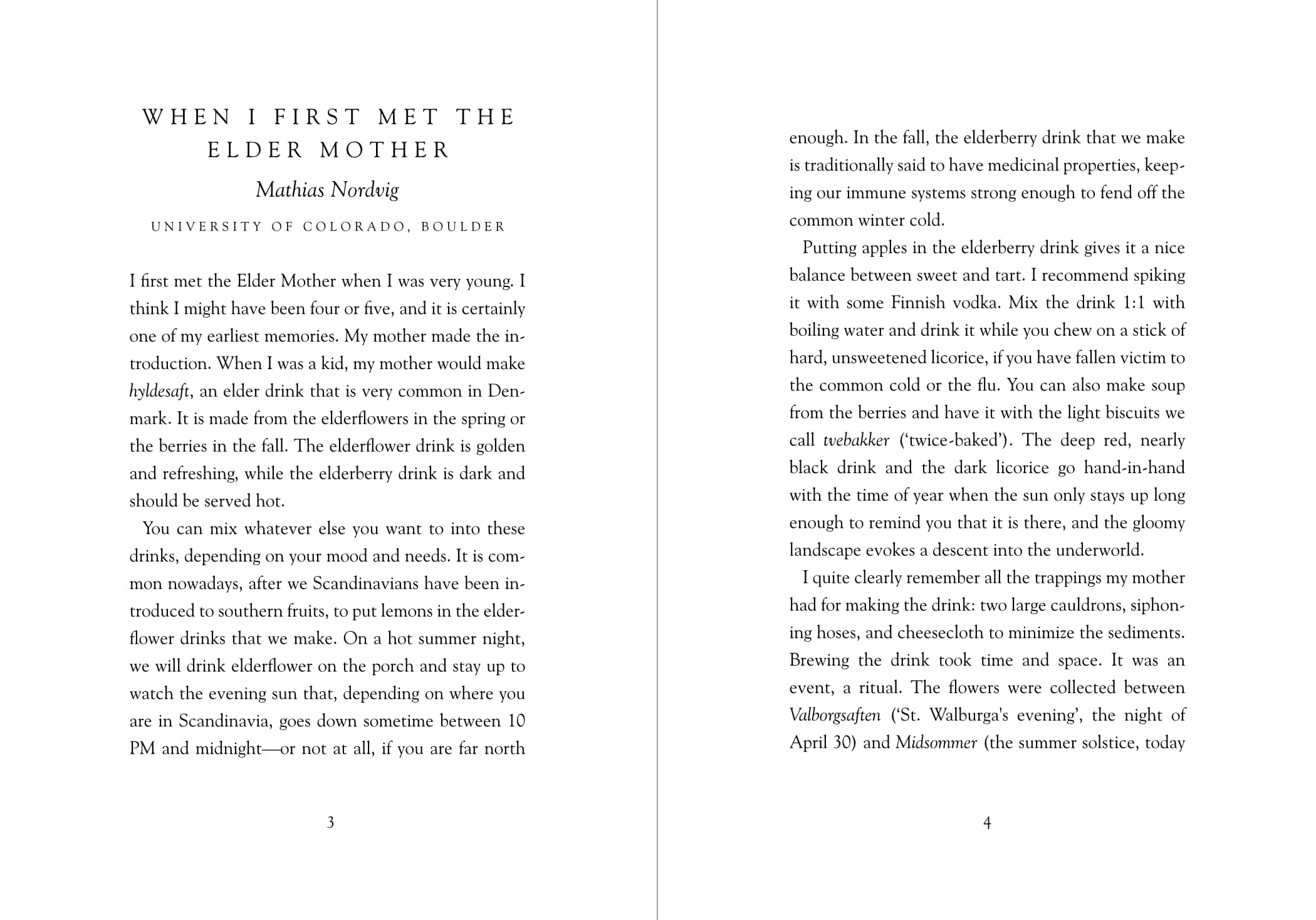 Hyldyr - Wholesale Nature & Outdoors - Lady Elder Tree: Northern Animism and Witchcraft7