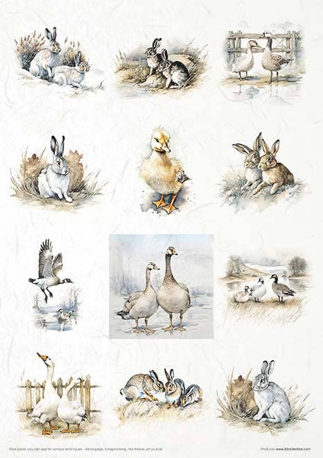 ITD Collection - Vente Matériels de bricolage - RP068 - Set créatif de papier de riz - 11 feuilles format A4 (21 x 29,7 cm)5