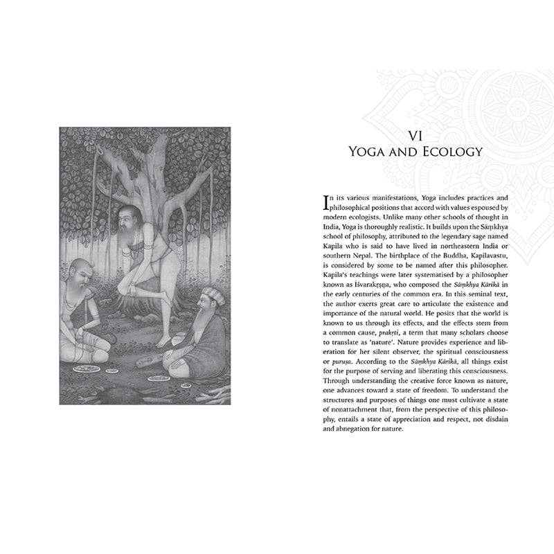 Insight Editions - #1 Pop Culture Publisher - Wholesale Religion Book - Embodied Ecology5