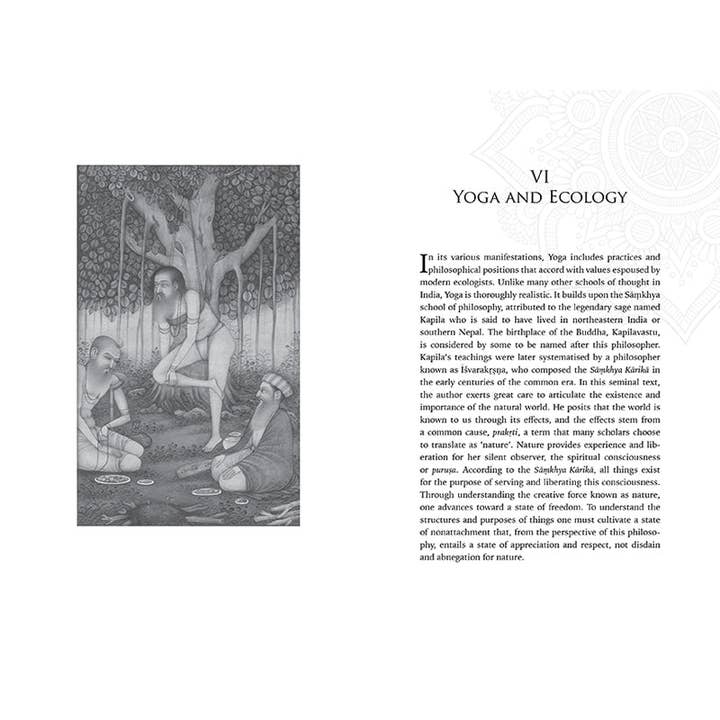 Insight Editions - #1 Pop Culture Publisher - Wholesale Religion Book - Embodied Ecology5