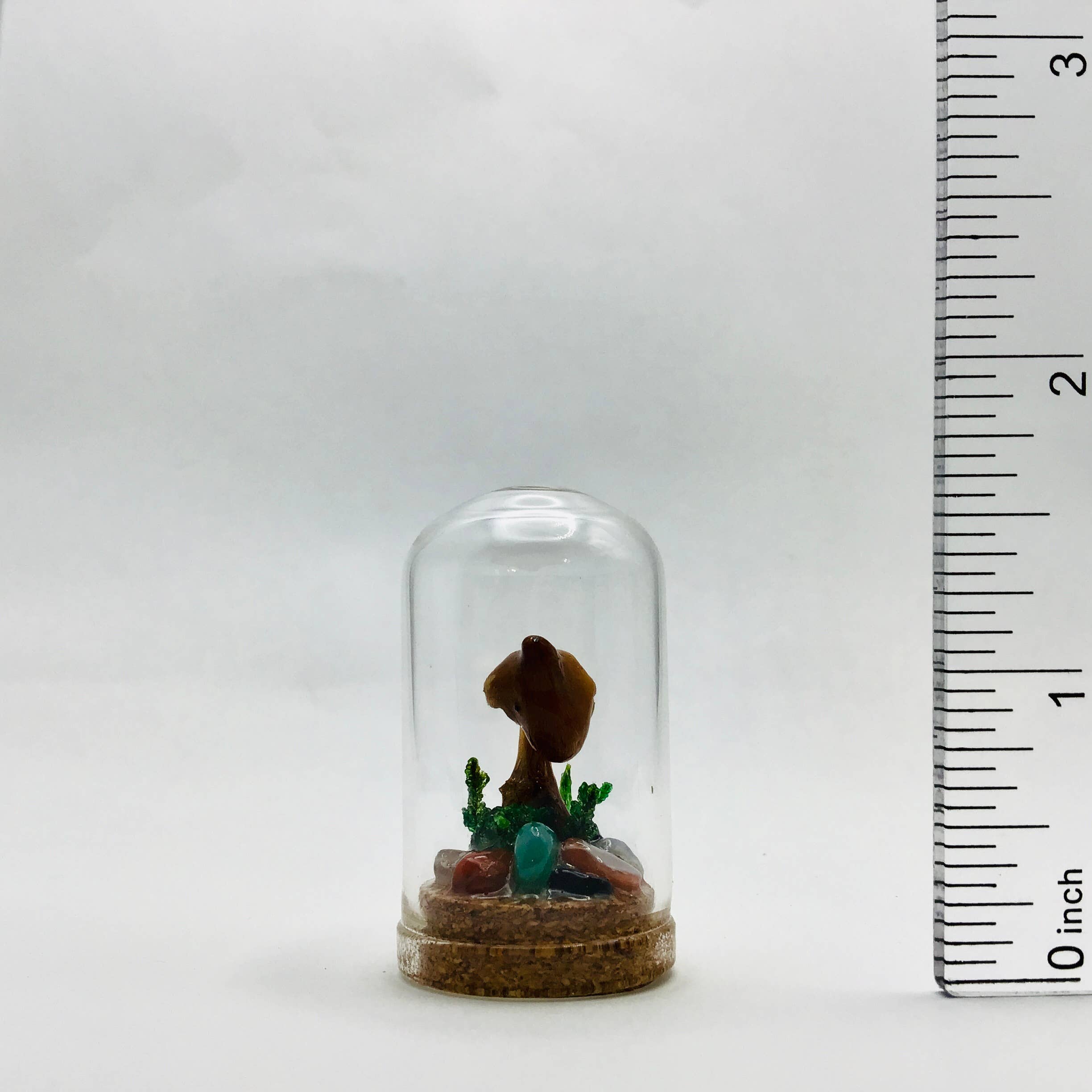 Fungus Farm LLC - Wholesale Decorative Tabletop Object - Real Mushroom Curiosity Jar Fungi Oddity Decor 1.75" # 6381