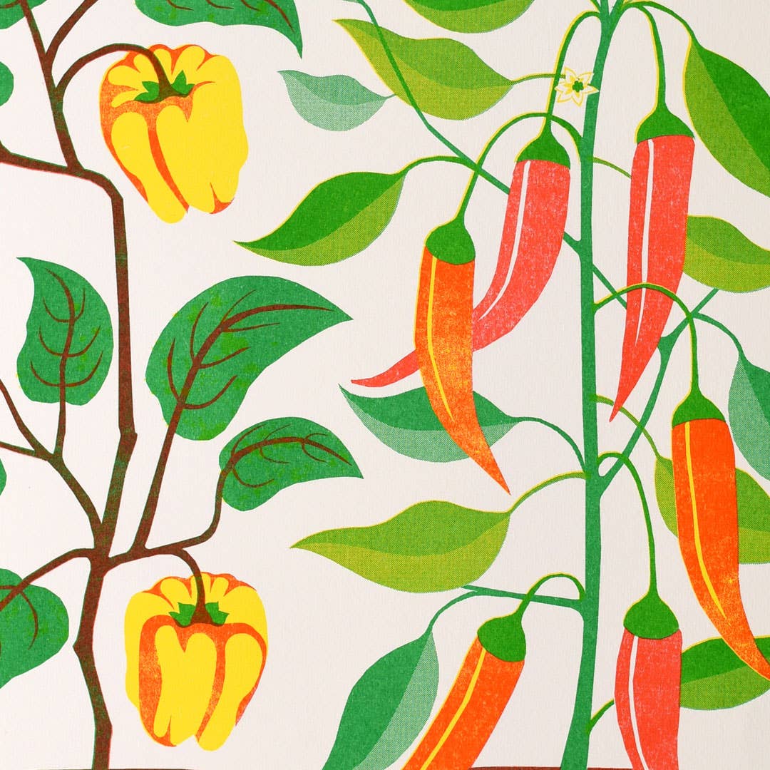 Printer Johnson Ltd - Wholesale Art Print - Chilli Peppers | A3 Risograph Print, wall art | Gardener1