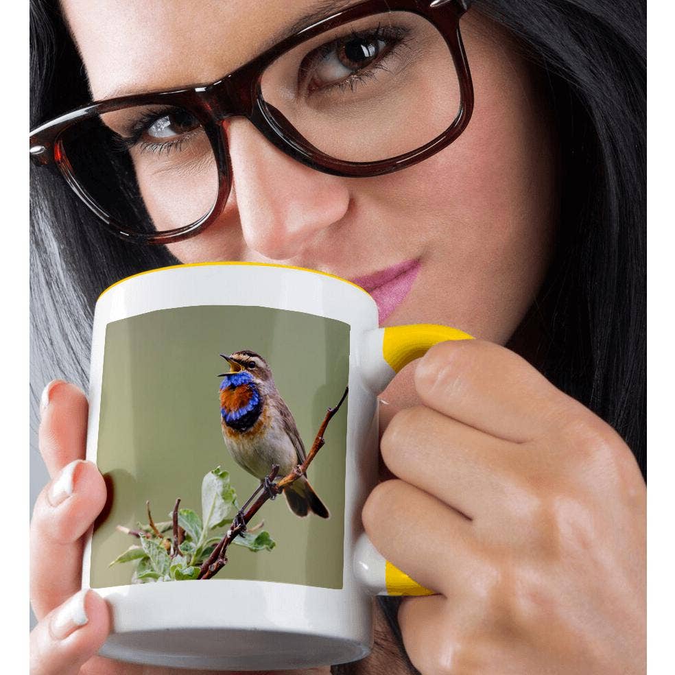 3dRose - Wholesale Coffee Mug - 3dRose, Bluethroat Male, Territory Song, Mug1