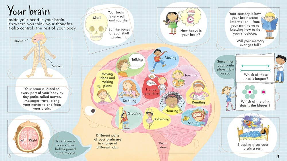 HarperCollins - Wholesale Preschool Book (3-5) - Look Inside Your Body1