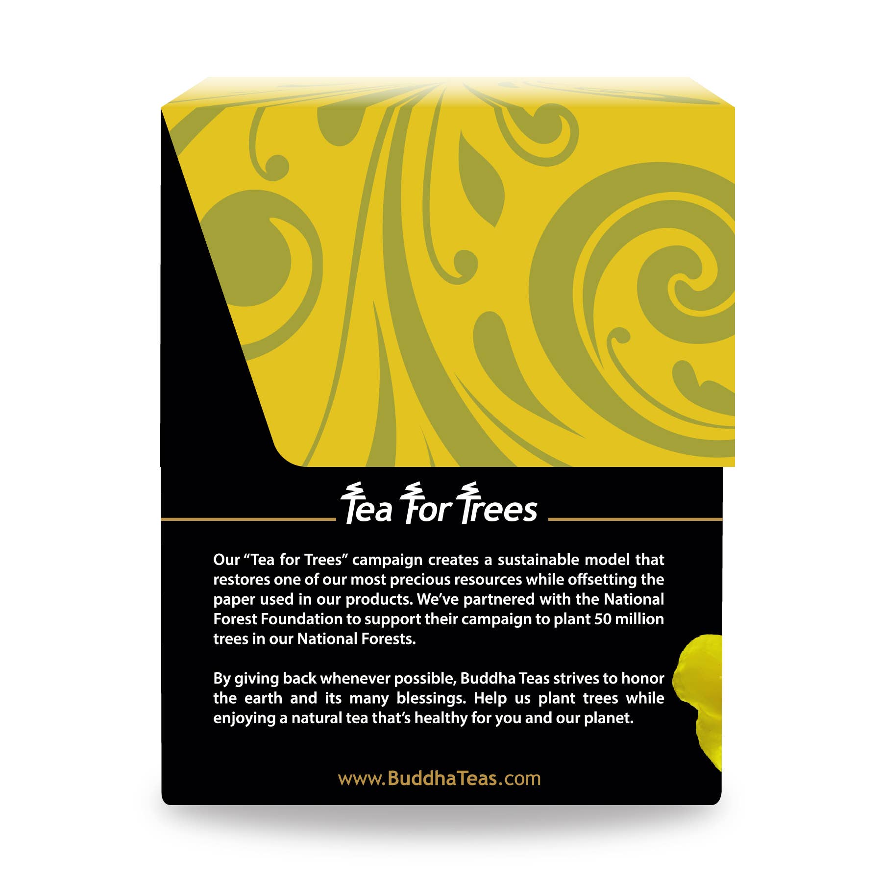 Buddha Teas - Wholesale Health/Detox Tea - Mullein Leaf Tea3