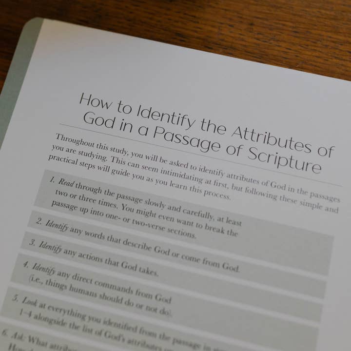 The Daily Grace Co - Wholesale Book - Adult - Christ in All of Scripture | Volume 1