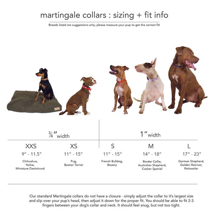 Major Darling - Wholesale Pet Collar - Dog - Martingale Collar / Lilac + Violet