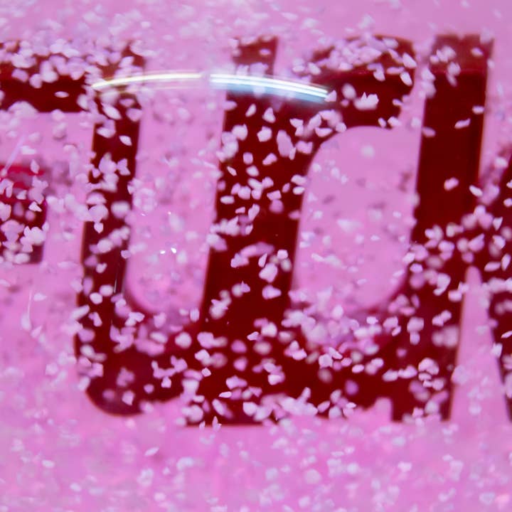 PUREPRODUCTSUSA - Wholesale Snow Globe - Blushing Pink Commemorative FGlobe1