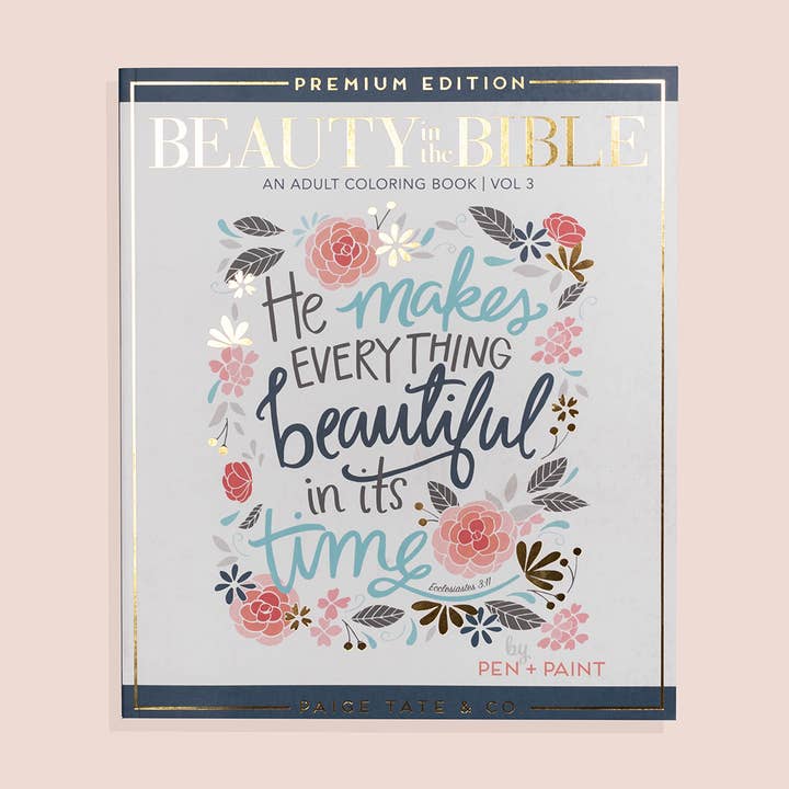 Beauty in The Bible 3  (Christian coloring book) for wholesale by Paige Tate & Co.