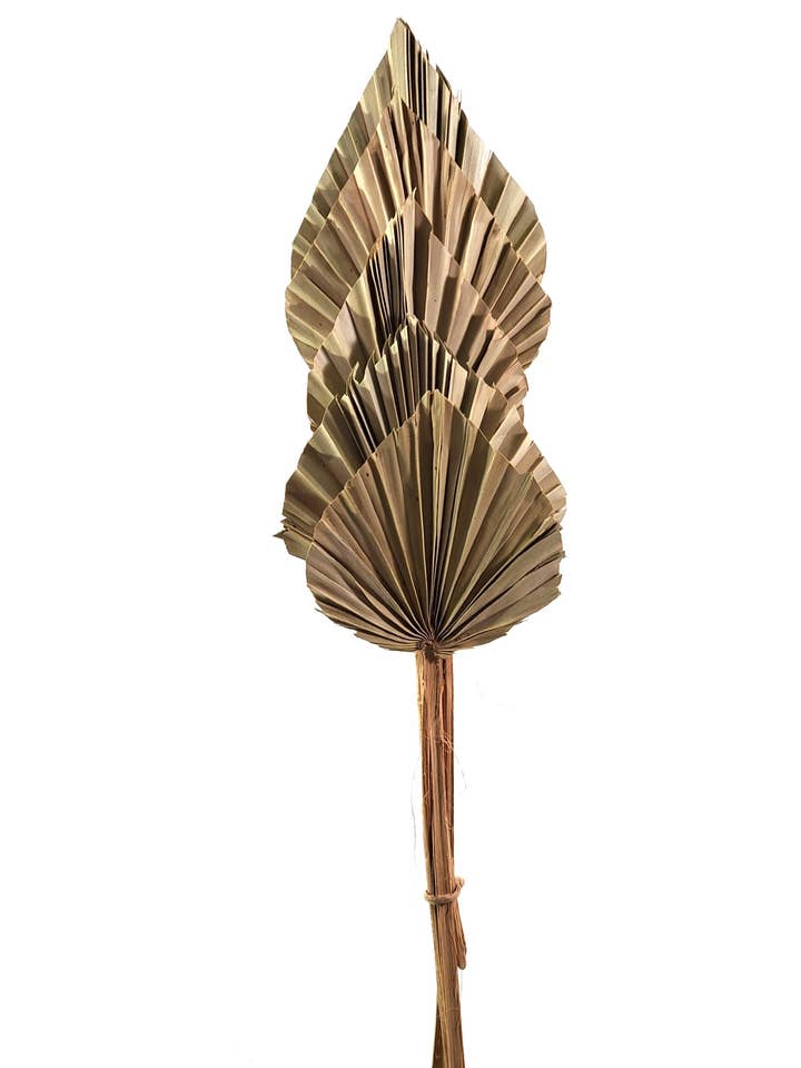 Palm Speren voor wholesale door THE ACCESSORY COLLECTION