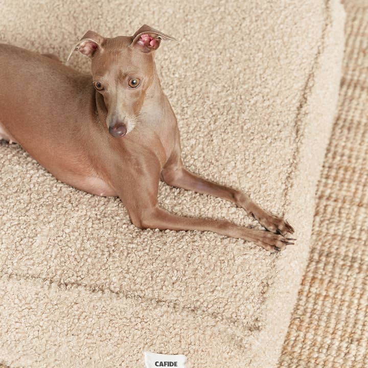 CAFIDE - Wholesale Pet bed – Dog - Beige Sheep Dog Bed, Square1