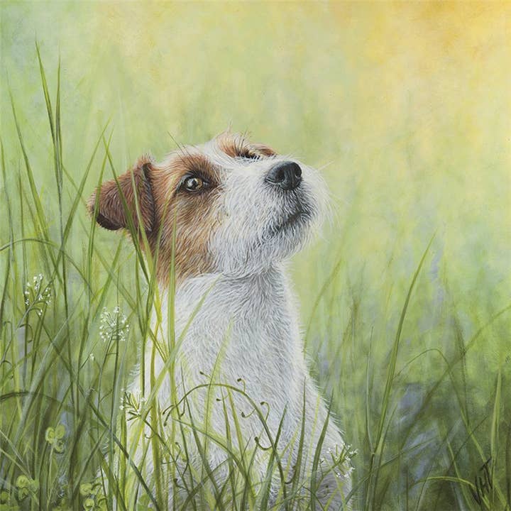 Natural Partners Limited – wholesale Everyday greeting card – Greeting Card In the Grass