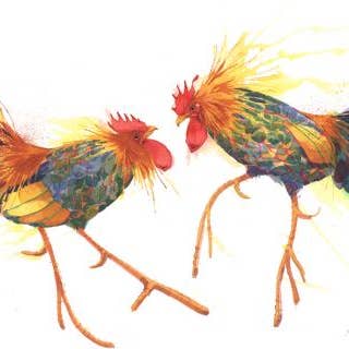 Edição Limitada de Disputas por atacado de Mary Ann Rogers Gallery