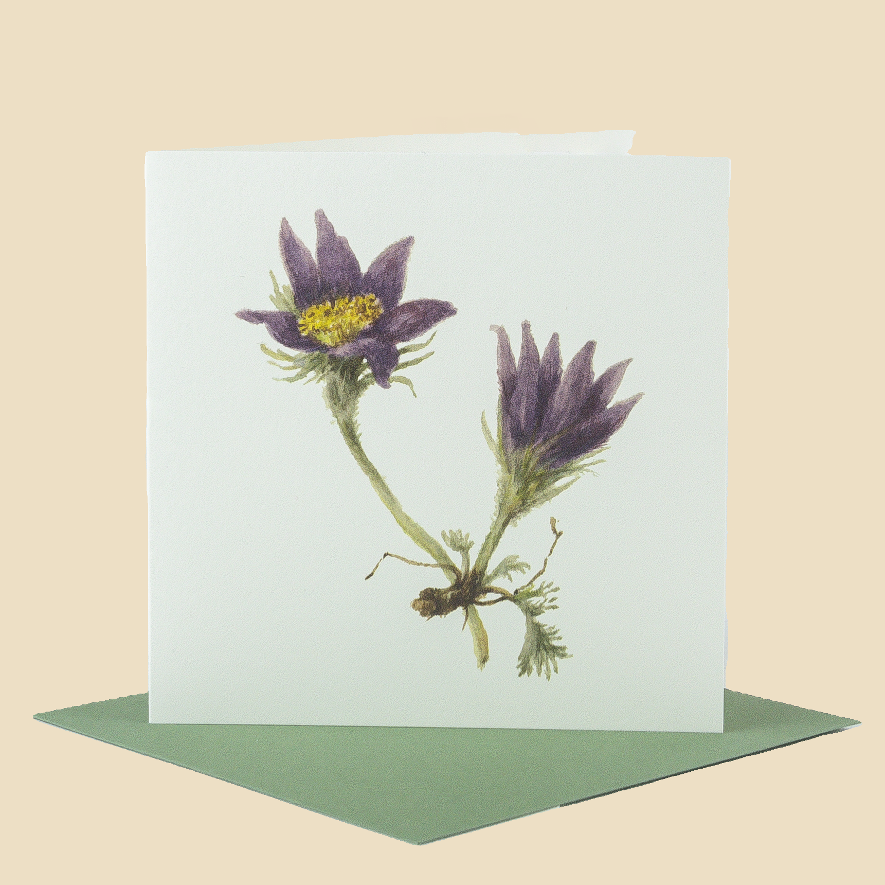 Sophia Davenport - Wholesale Everyday Greeting Card - Wildflower Greeting Cards and Notelets36