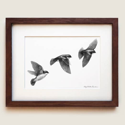 Tree Swallows | Fine Art Print for wholesale by ElizabethAnnFrancis