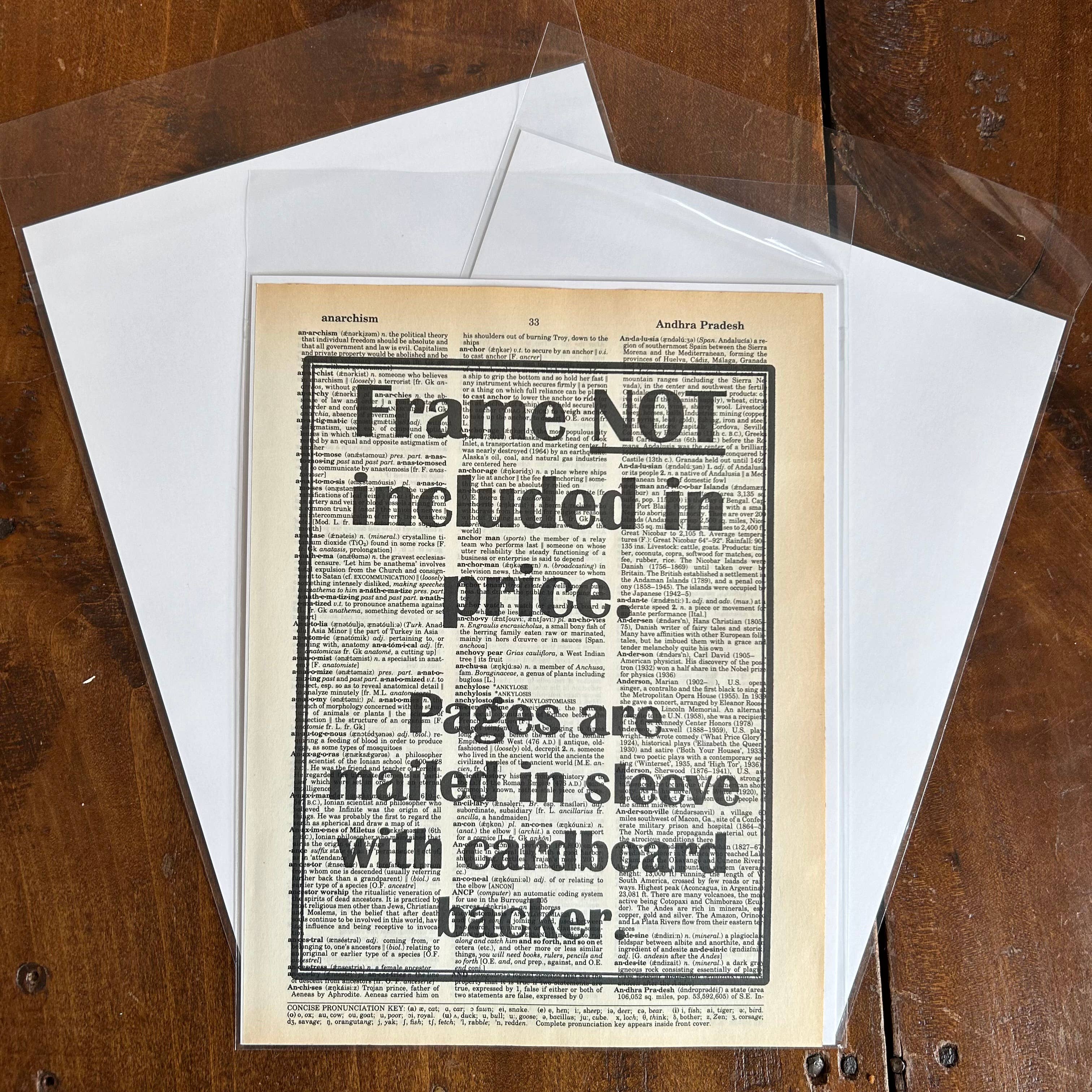 Bookish Birds - Wholesale Art Print - Love is Love | Dictionary Print | Vintage Book Art3