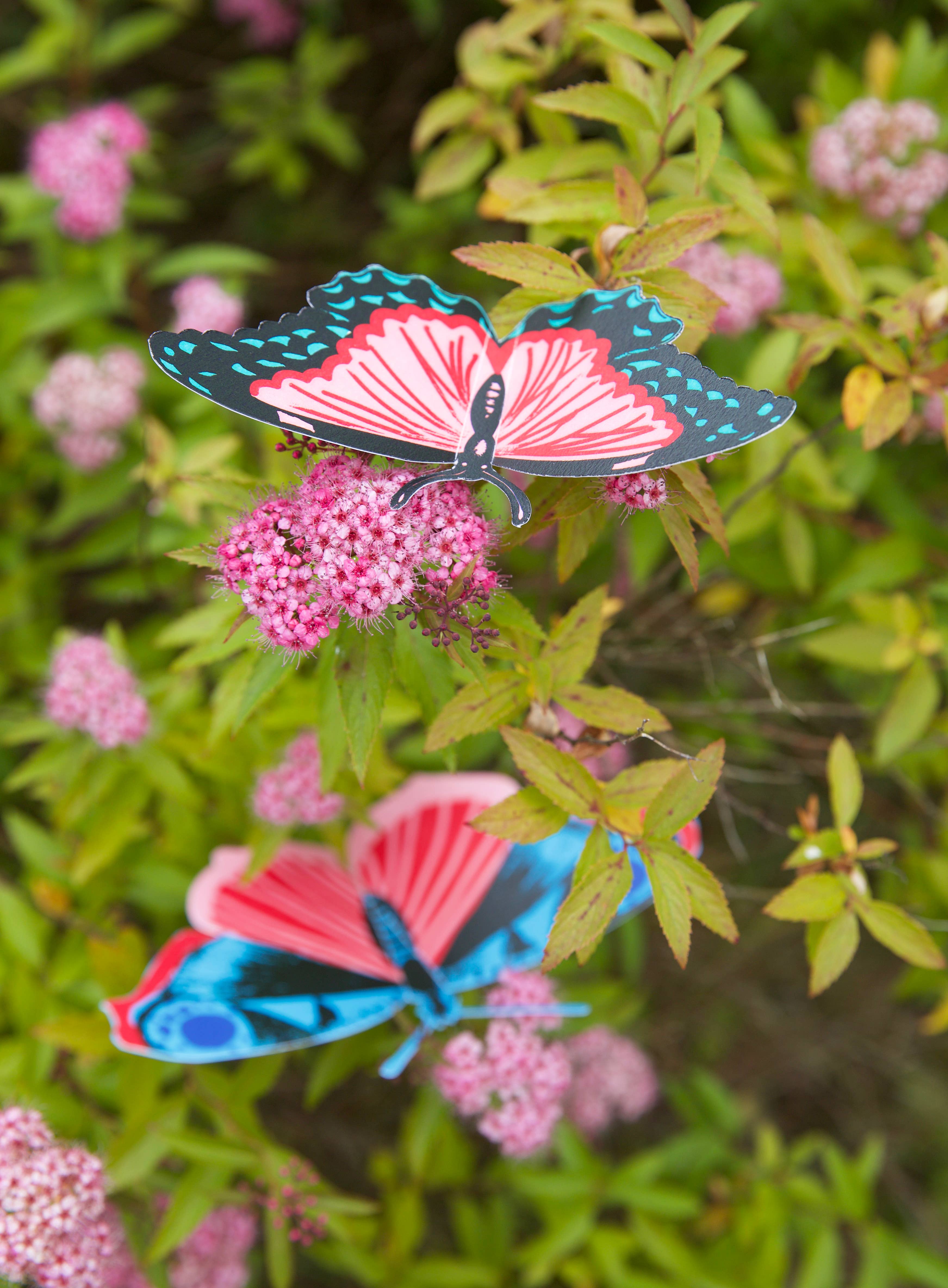 West Design Products – wholesale DIY craft kit – Child – Royal Horticultural Society Make Your Own 3D Bugs Kit4