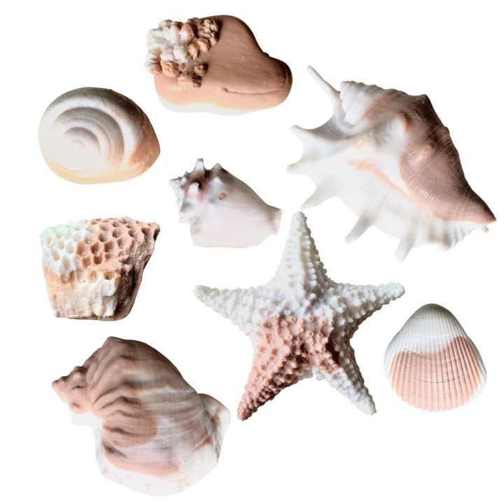 LOT DE 8 SAVONS - Bois de santal et Palo Santo | Savon Seashell pour la vente par Seashell Soap