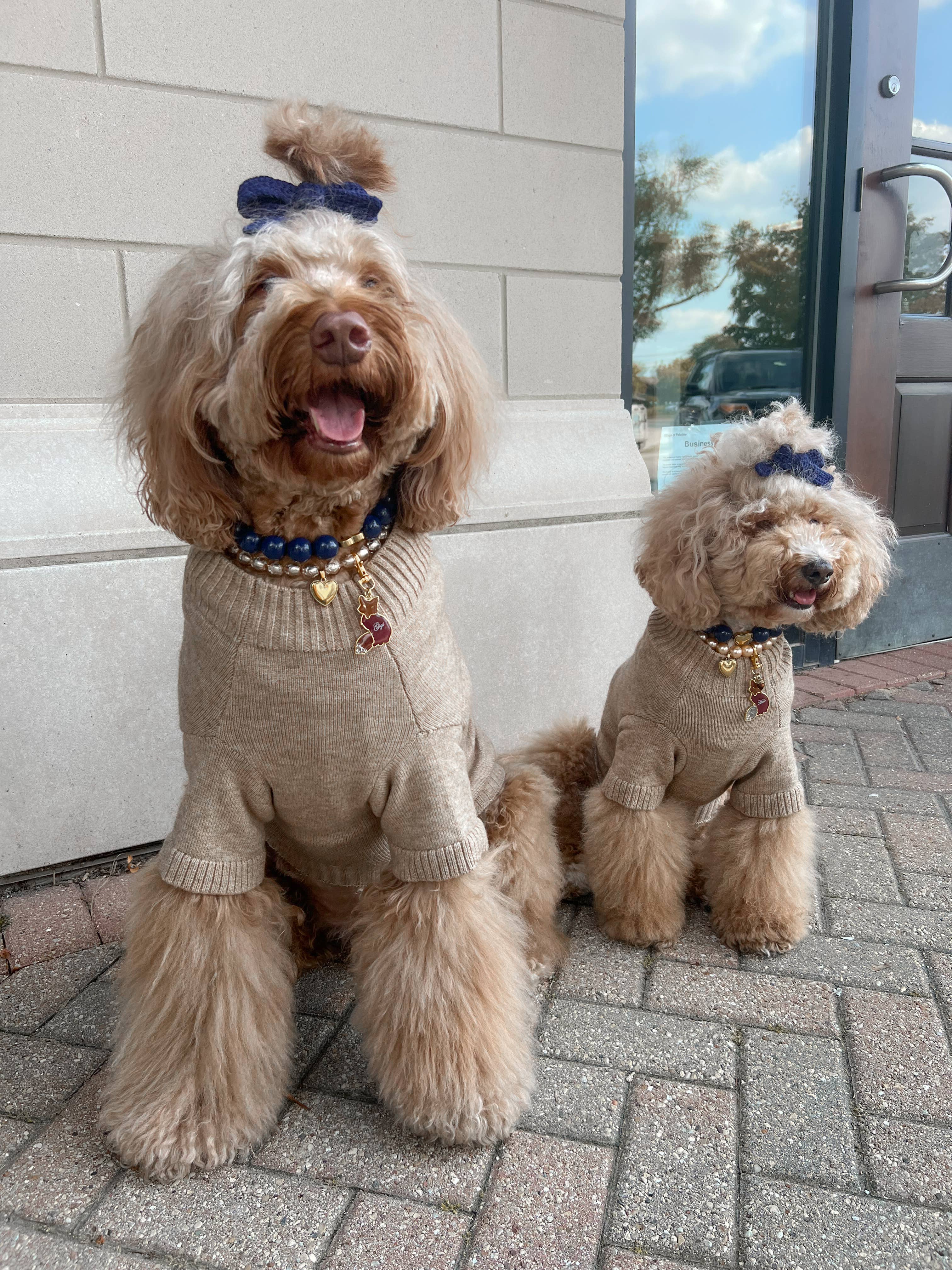 GIGI’S USA – wholesale Tröja - Hund – Foster Rävhundtröja6