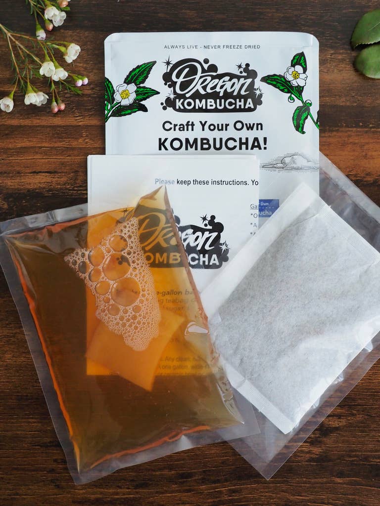 Wholesale Kombucha Starter Kit for your store - Faire