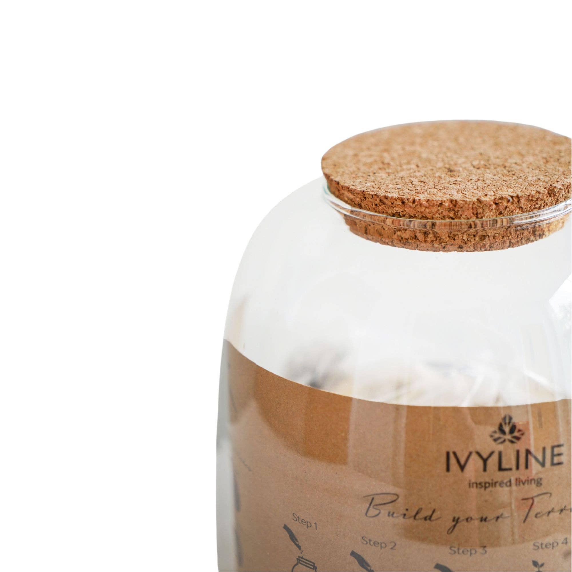 Ivyline - Vente Terrariums - Kit DIY terrarium moyen en forme de bol H20 cm D19 cm3