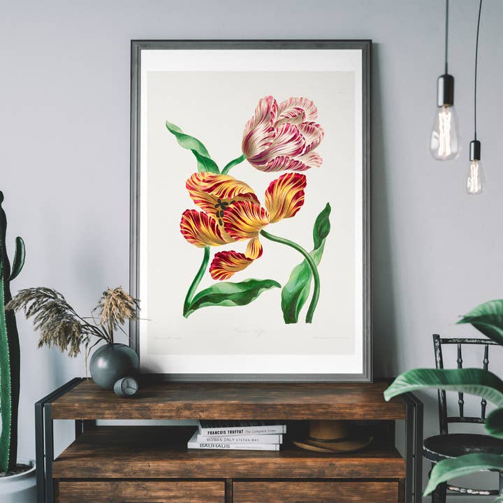 Verschiedene Tulpen von John Edwards Drucken für den Großhandel von Ink & Drop