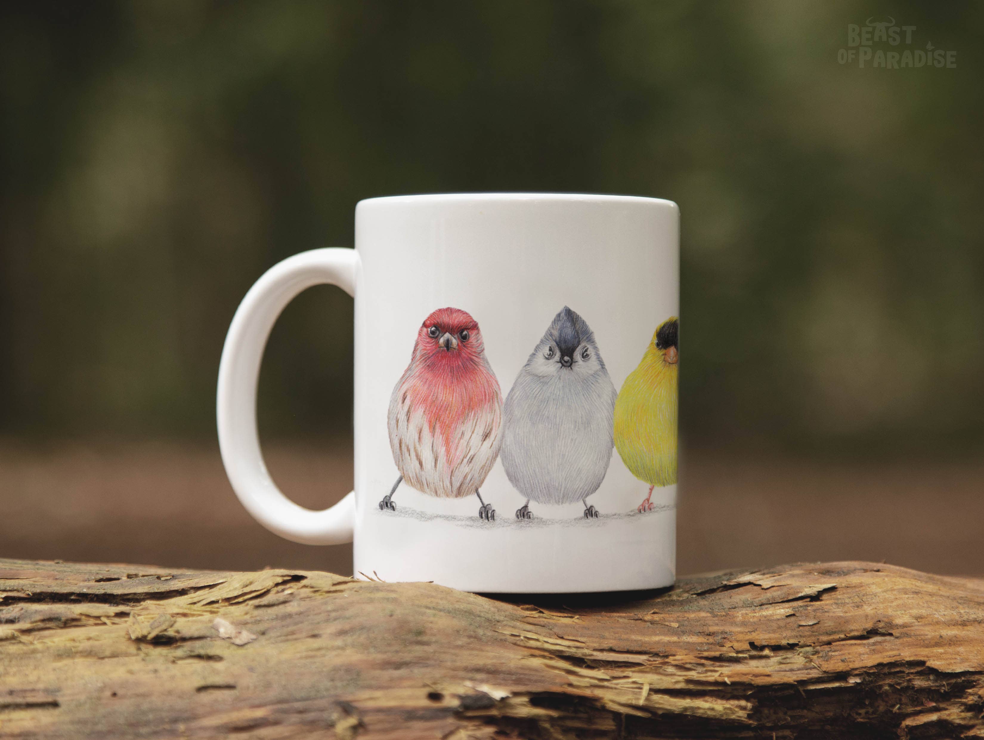 Beast of Paradise - Wholesale Coffee/Tea Cup - Ceramic Mug, North American Birds, Funny Mugs, Animal Mug5